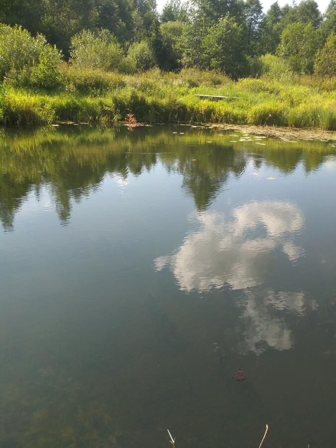 Кемпинги Лаунж зона Постоялец Sharybovka